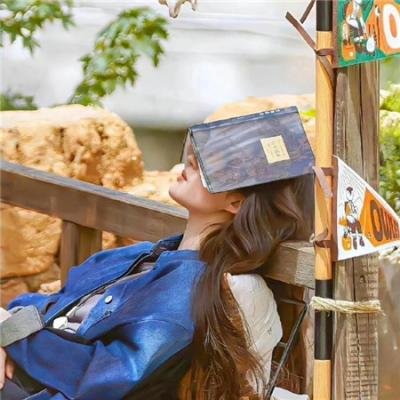 佛莱契历险记